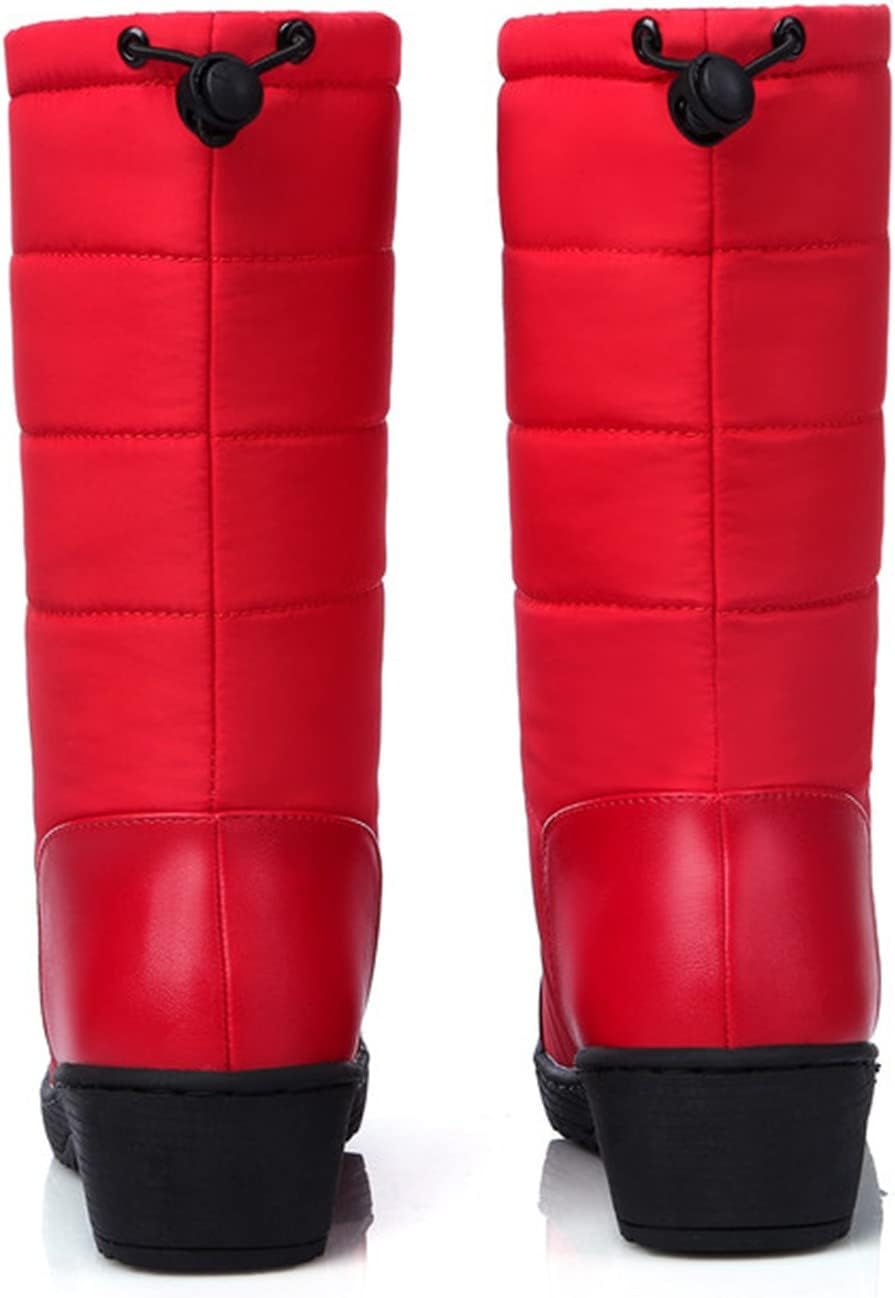 Womens Snow Boots Waterproof Winter Boots Anti-slip Fuzzy Fur Booties Winter Warm Outdoor Ankle Boots Ladies Walking Hiking Booties