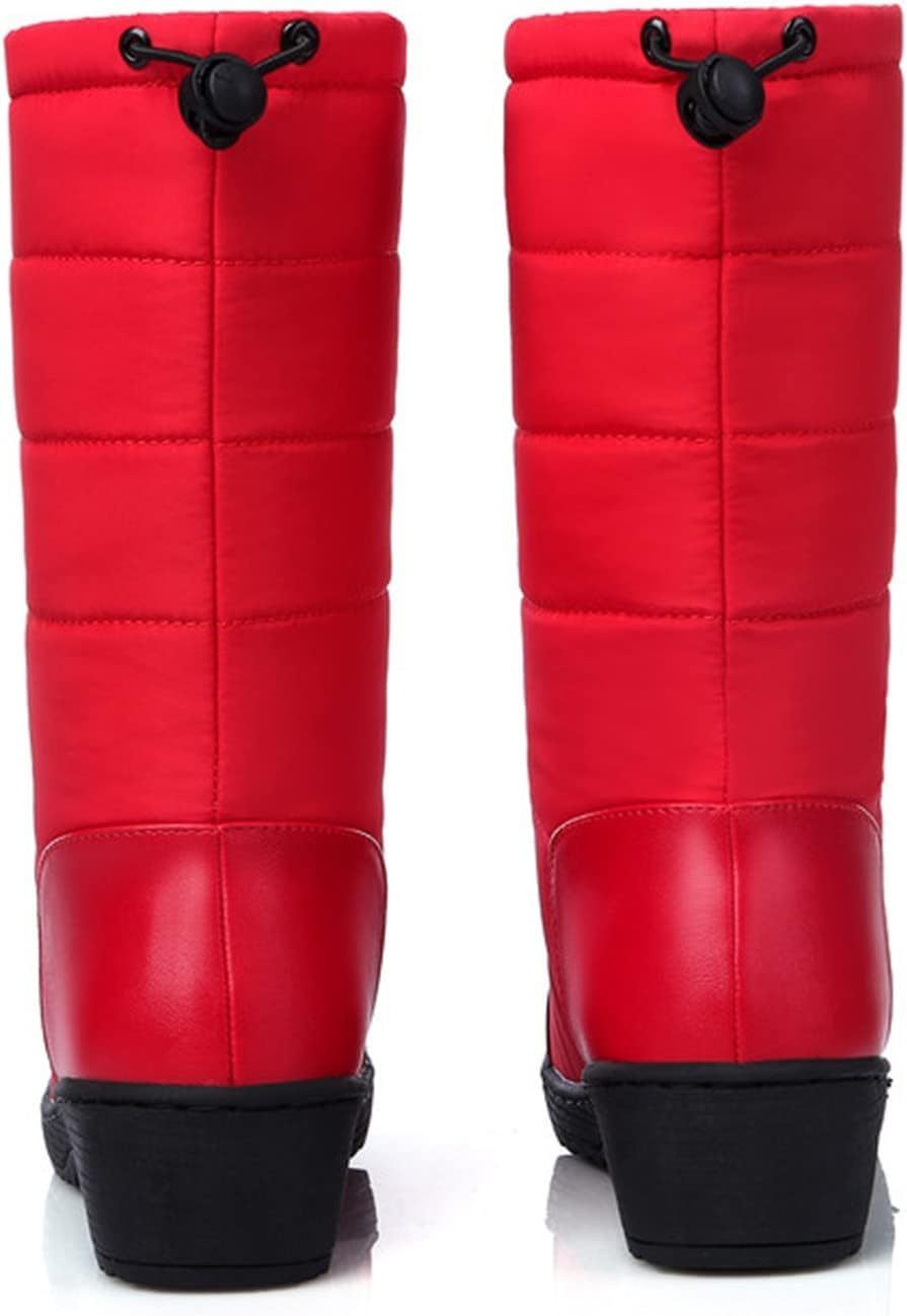 Womens Snow Boots Waterproof Winter Boots Anti-slip Fuzzy Fur Booties Winter Warm Outdoor Ankle Boots Ladies Walking Hiking Booties