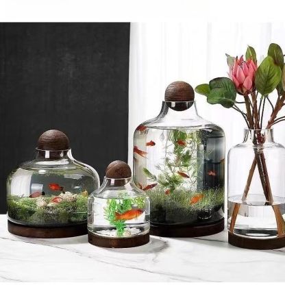 Transparent glass fish tank