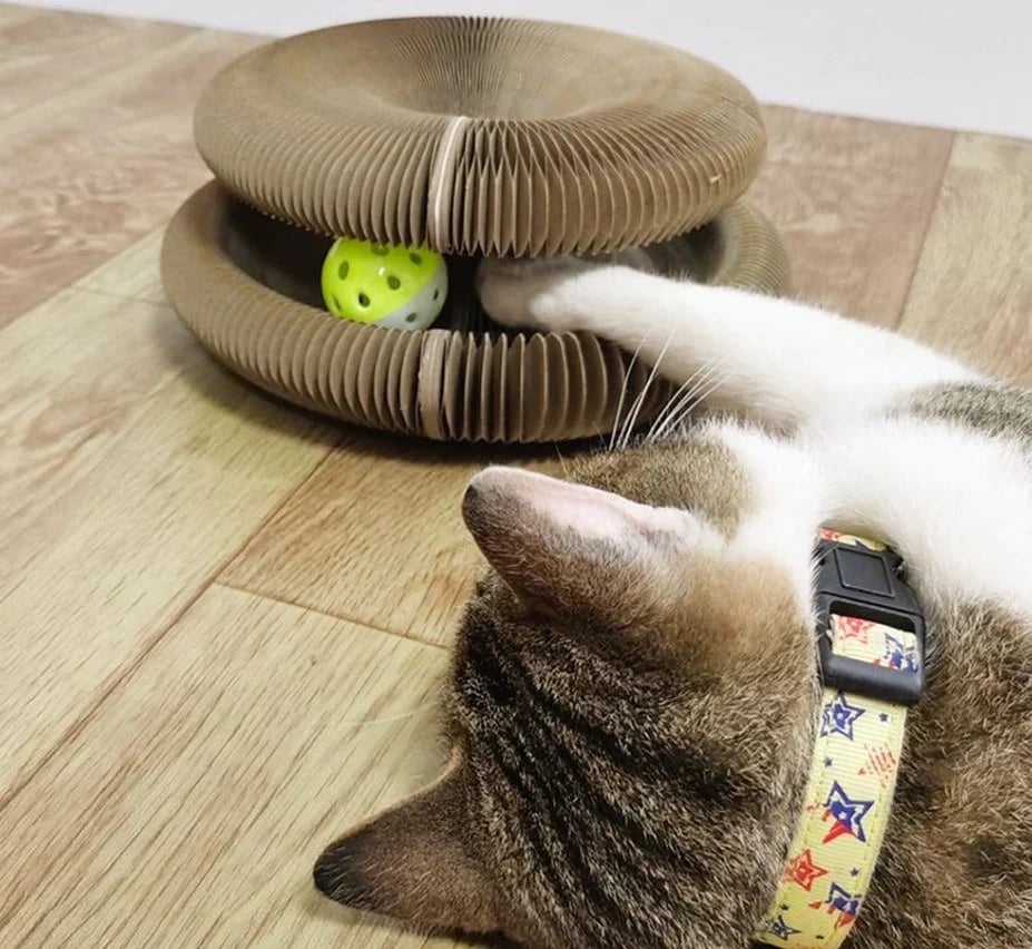 ⚡Cat Scratcher（Magnetic type - accordion cat scratching board 1 piece [with bell ball, can be scratched and played with]）