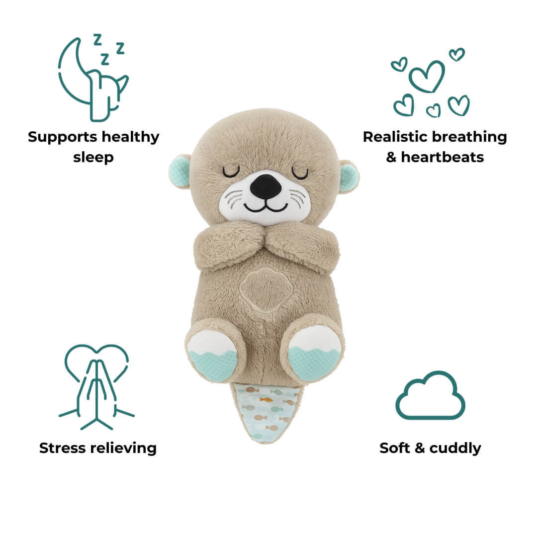 The Dreamy Otter