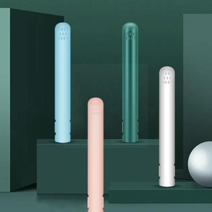 Travel-Friendly Portable Hair Straightener