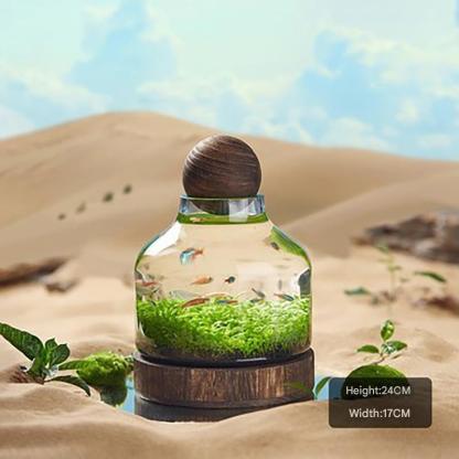 Transparent glass fish tank