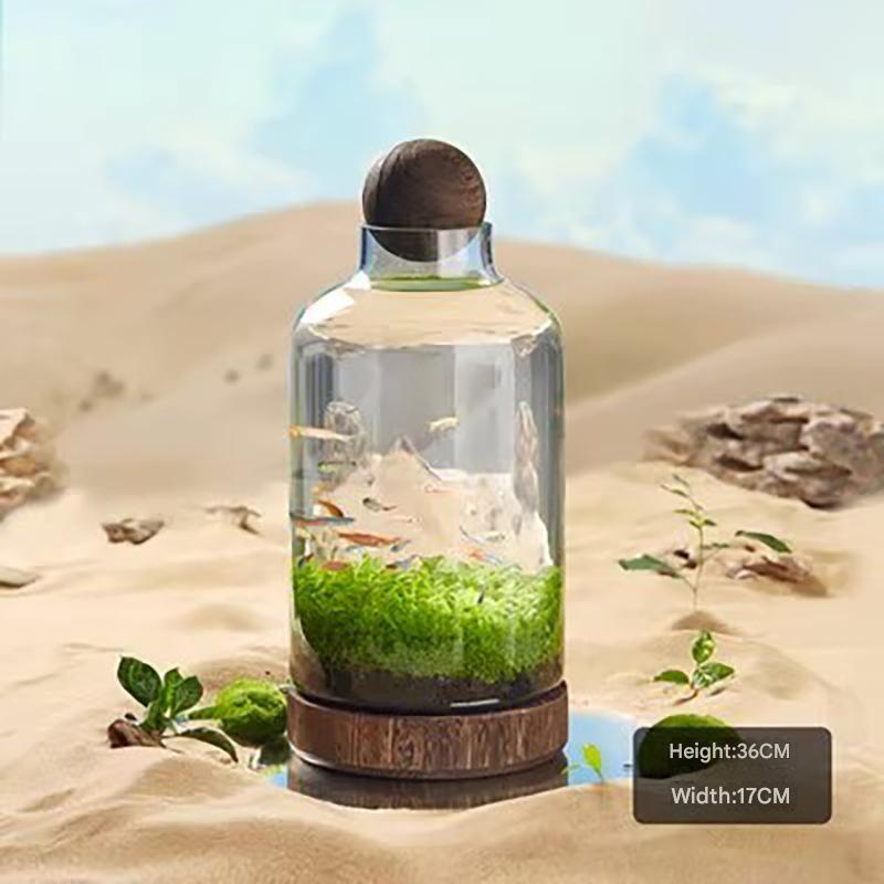 Transparent glass fish tank