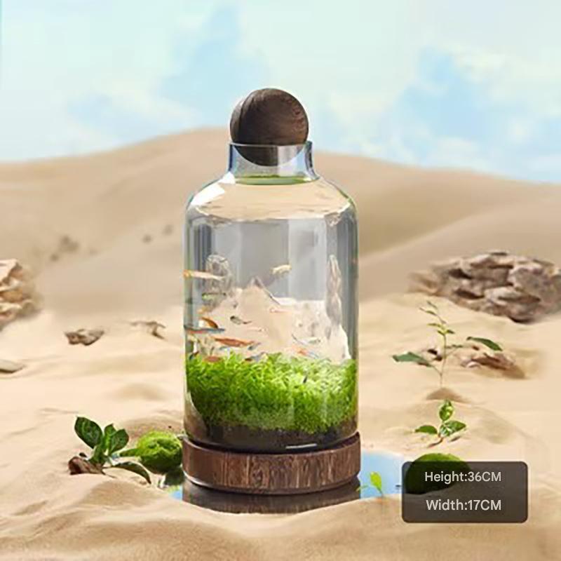 Transparent glass fish tank