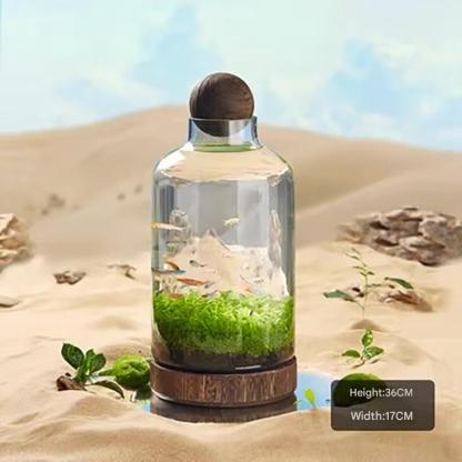 Transparent glass fish tank