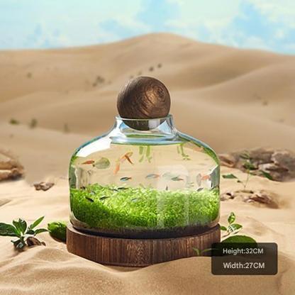 Transparent glass fish tank