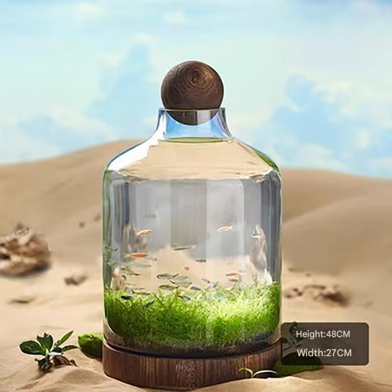 Transparent glass fish tank