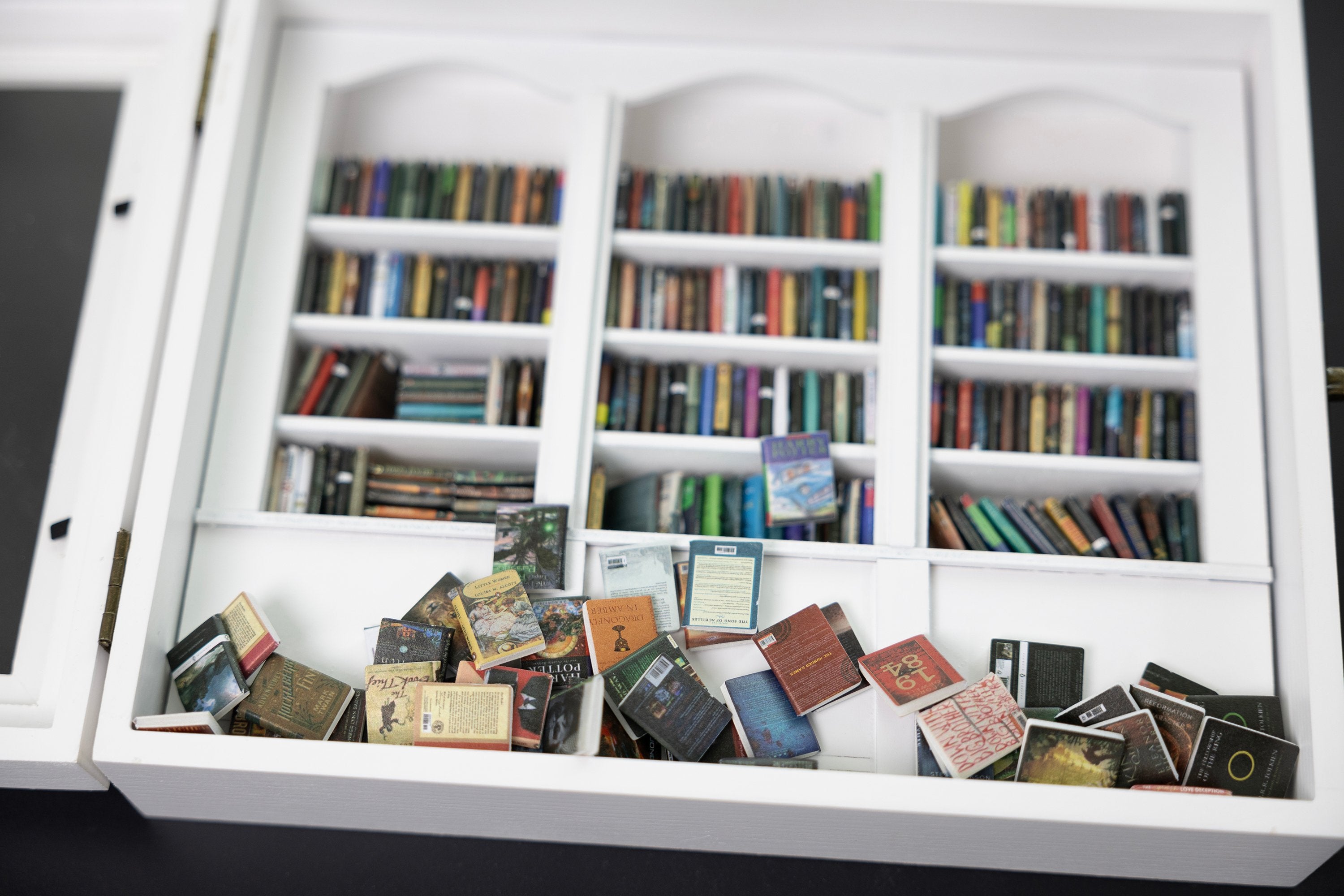 📚Shake Away Your Anxiety Bookshelf Decoration