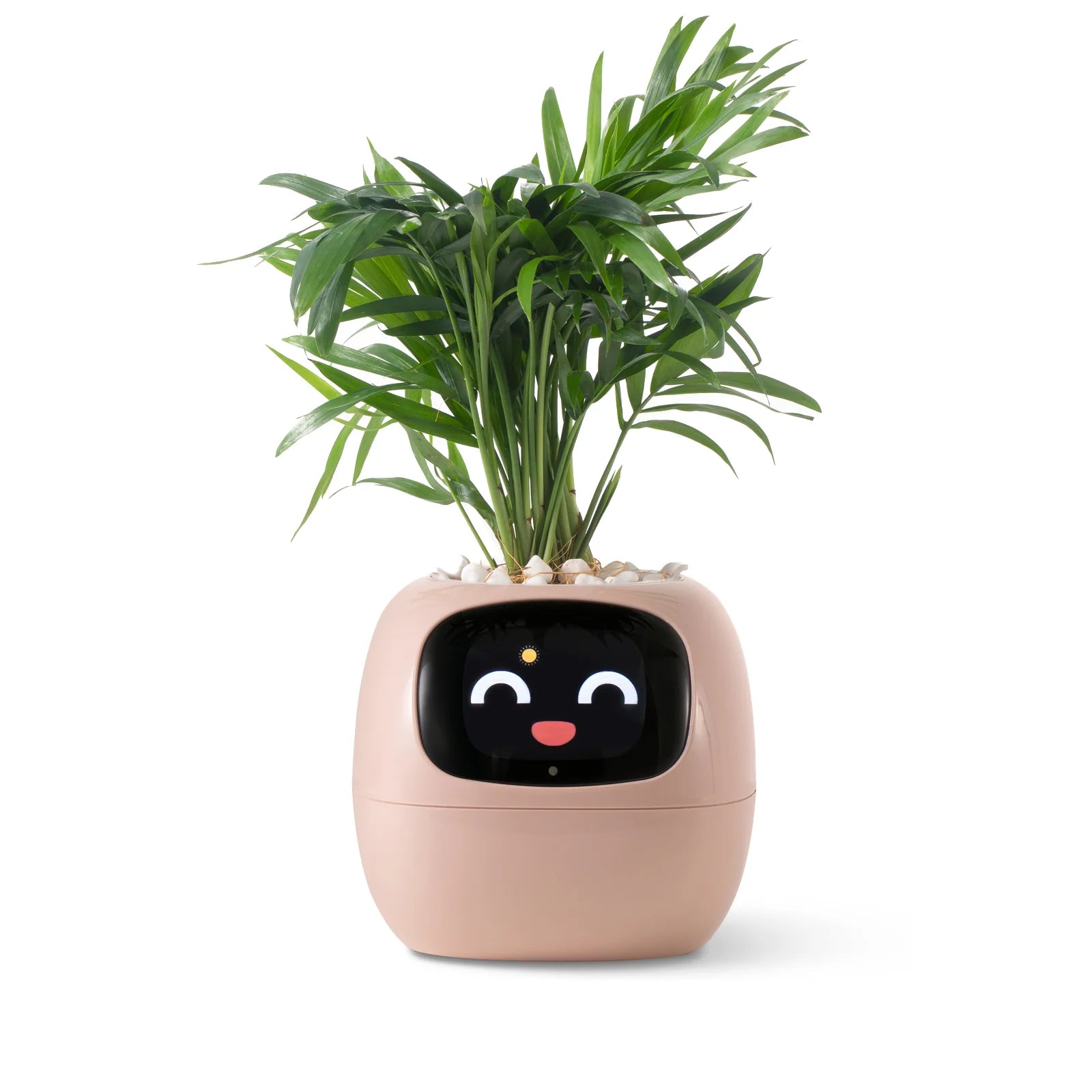 Smart Planter