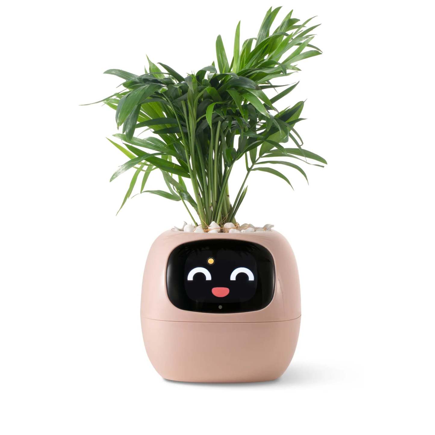 Smart Planter
