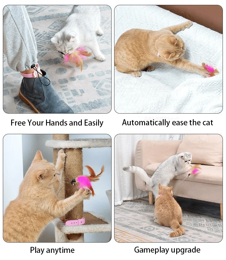 🔥Free hands collar cat teaser stick😻