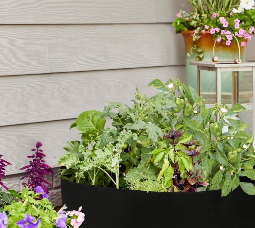 Fabric Raised Bed