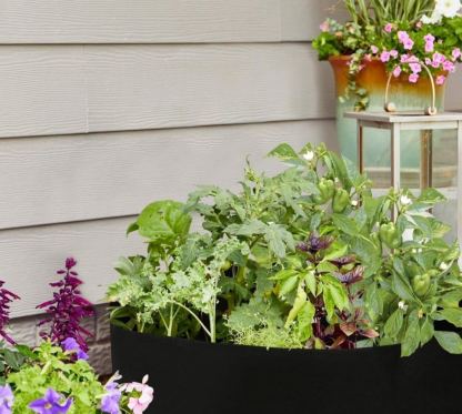 Fabric Raised Bed