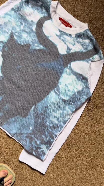 "evil cat v2" thermal