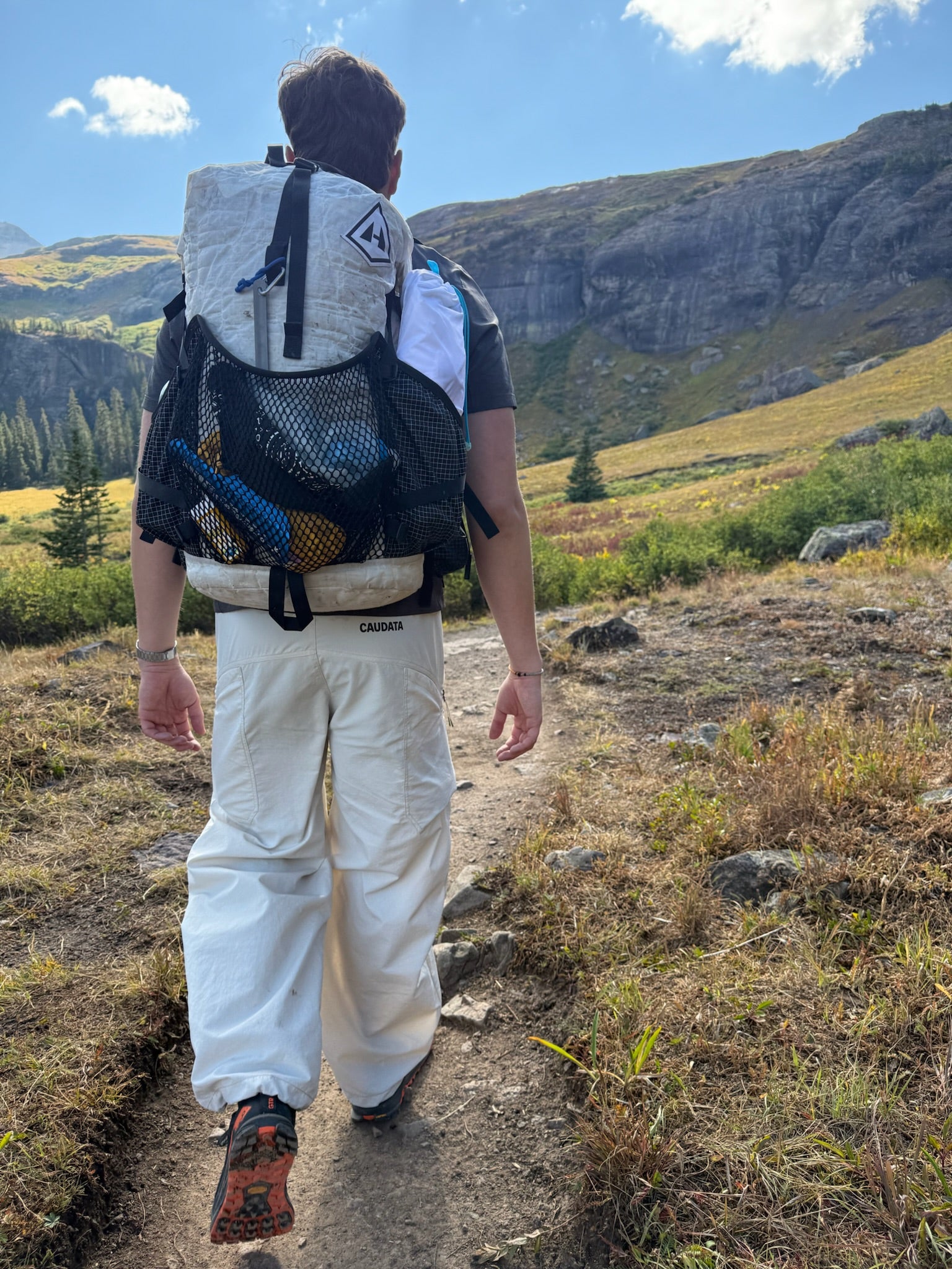 NewtFlex Pants