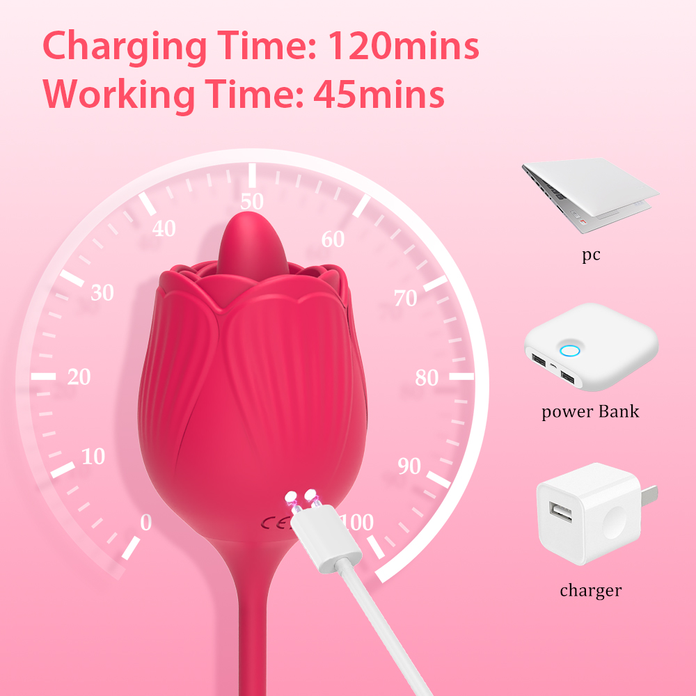 rose toy charger