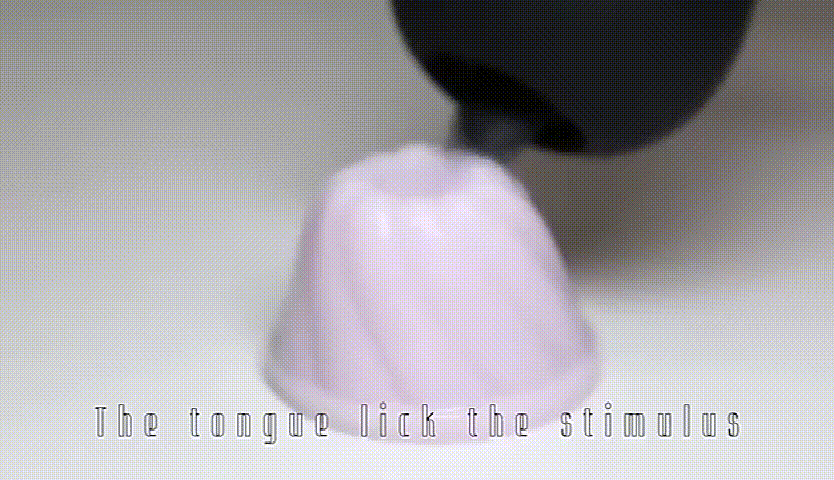 rose toy,rosetoy with tongue,the rose toy,rose toy for women,rose adult toy,rose vibrator