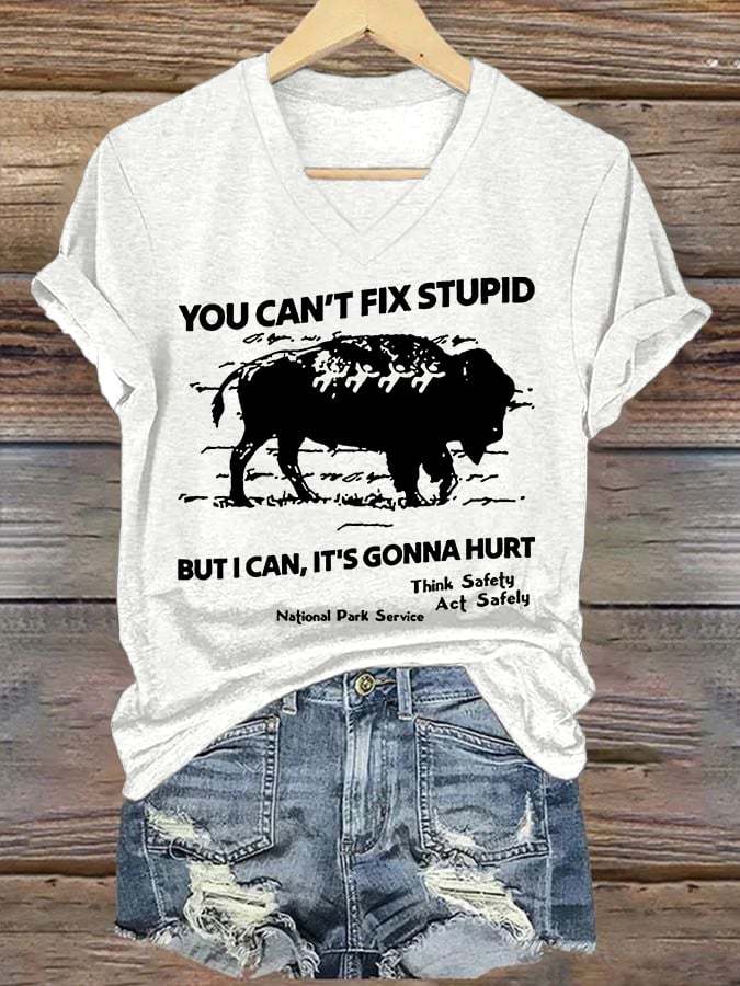 Women's You Can't Fix Stupid But I Can It's Gonna Hurt Printed T-shirt