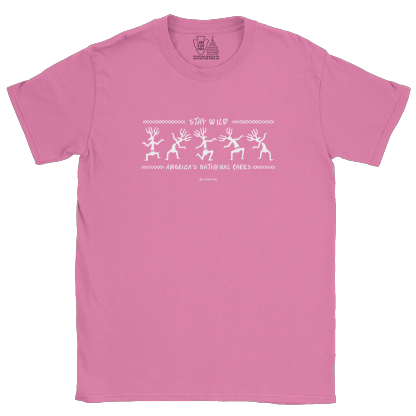 Stay Wild Petroglyphs Tee
