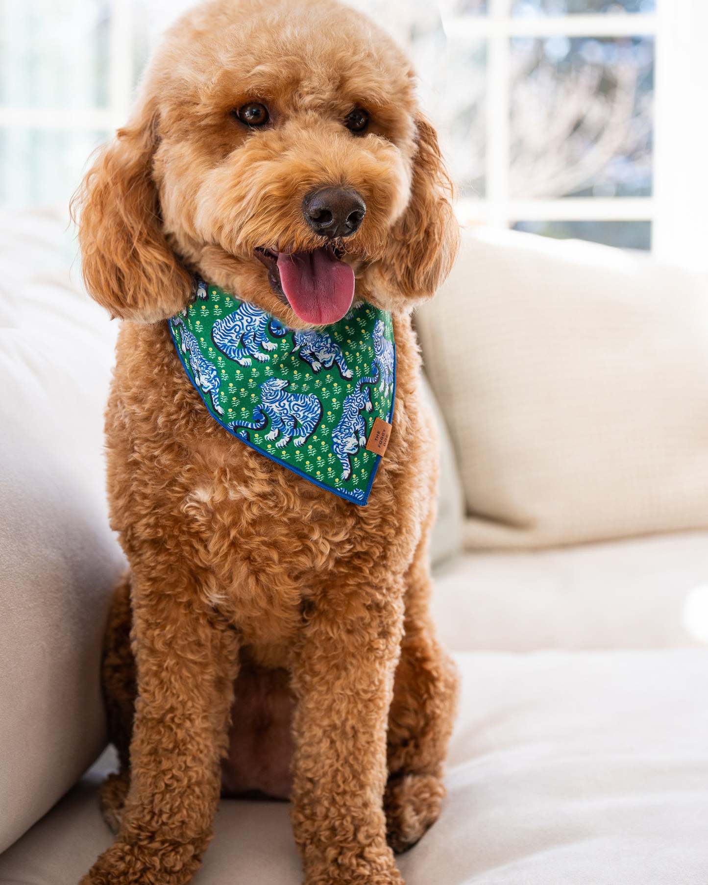 PF x The Foggy Dog Tiger Queen - Dog Bandana - Jade - Printfresh