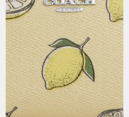 Snap Wallet With Lemon Print