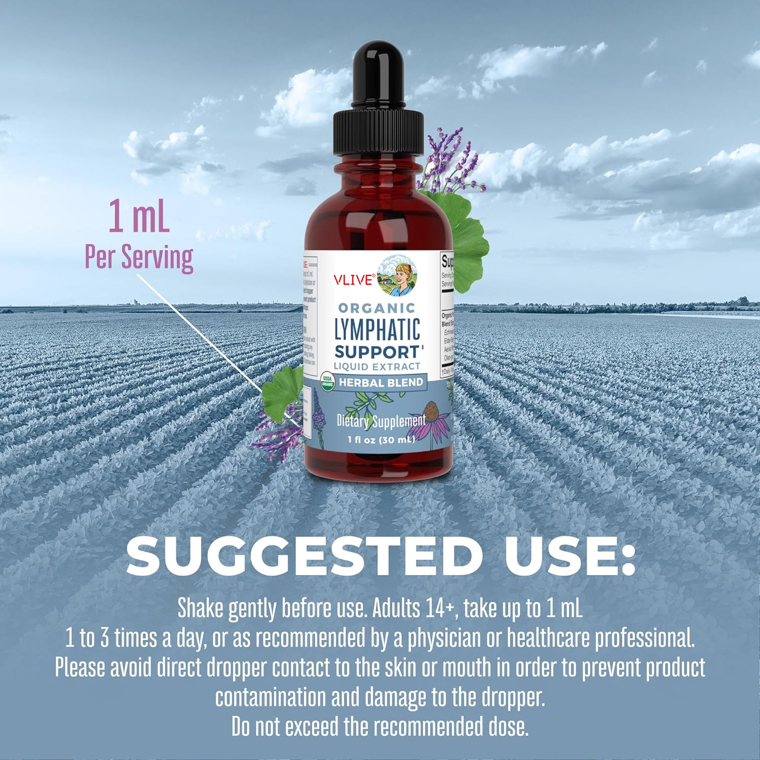 Lymphatic Support Drops | USDA Organic Lymphatic Cleanse for Immune Support | Lymphatic Support Supplement with Echinacea & Elderberry | Antioxidant & Immune Defense | Vegan | Non-GMO | 30 Servings