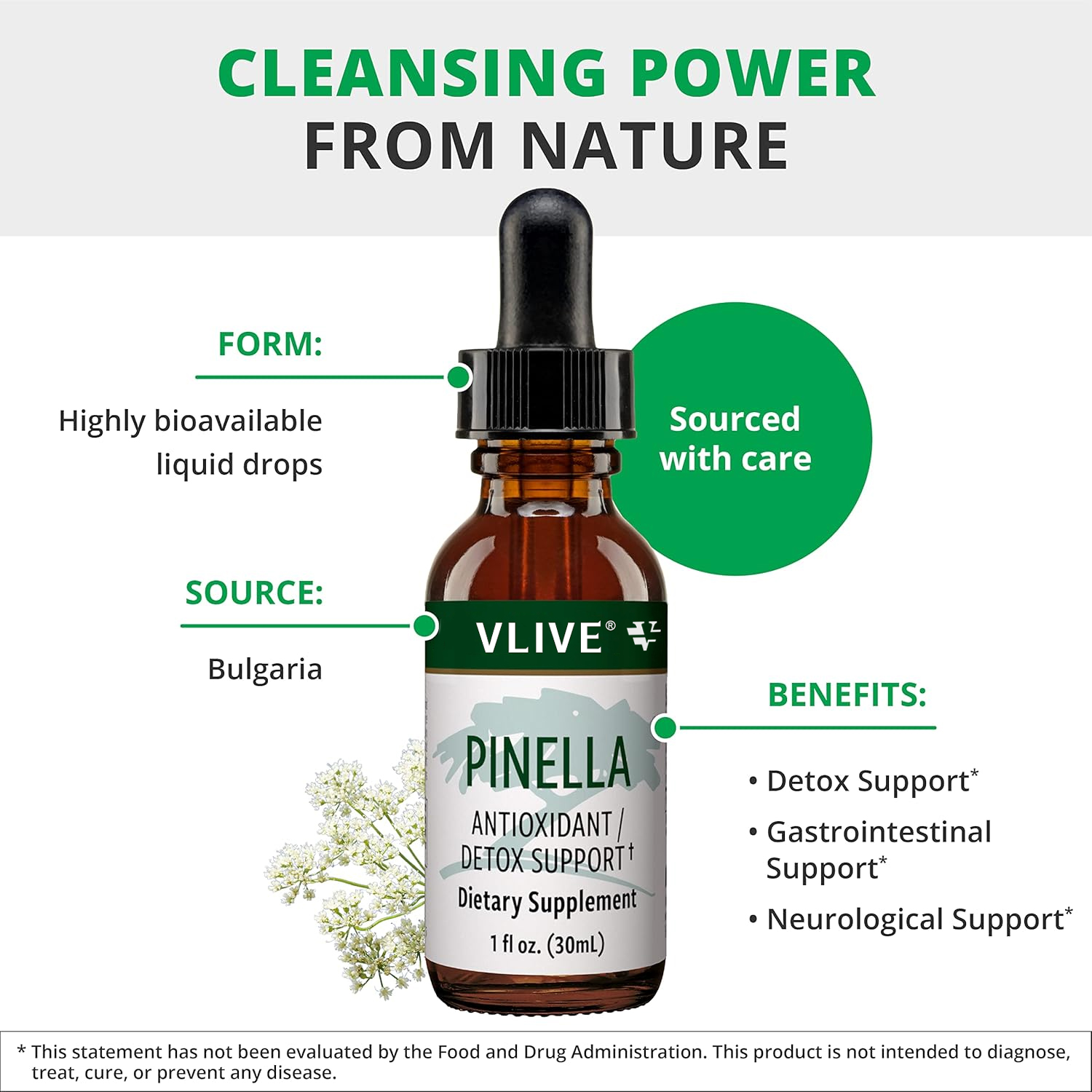Vlivey®Liquid Anise Drops to Help Support Detox, Cleansing, Concentration & Brain Health - Pimpinella Anisum Extract May Help to Fight 'Brain Fog’ (1oz / 30ml)