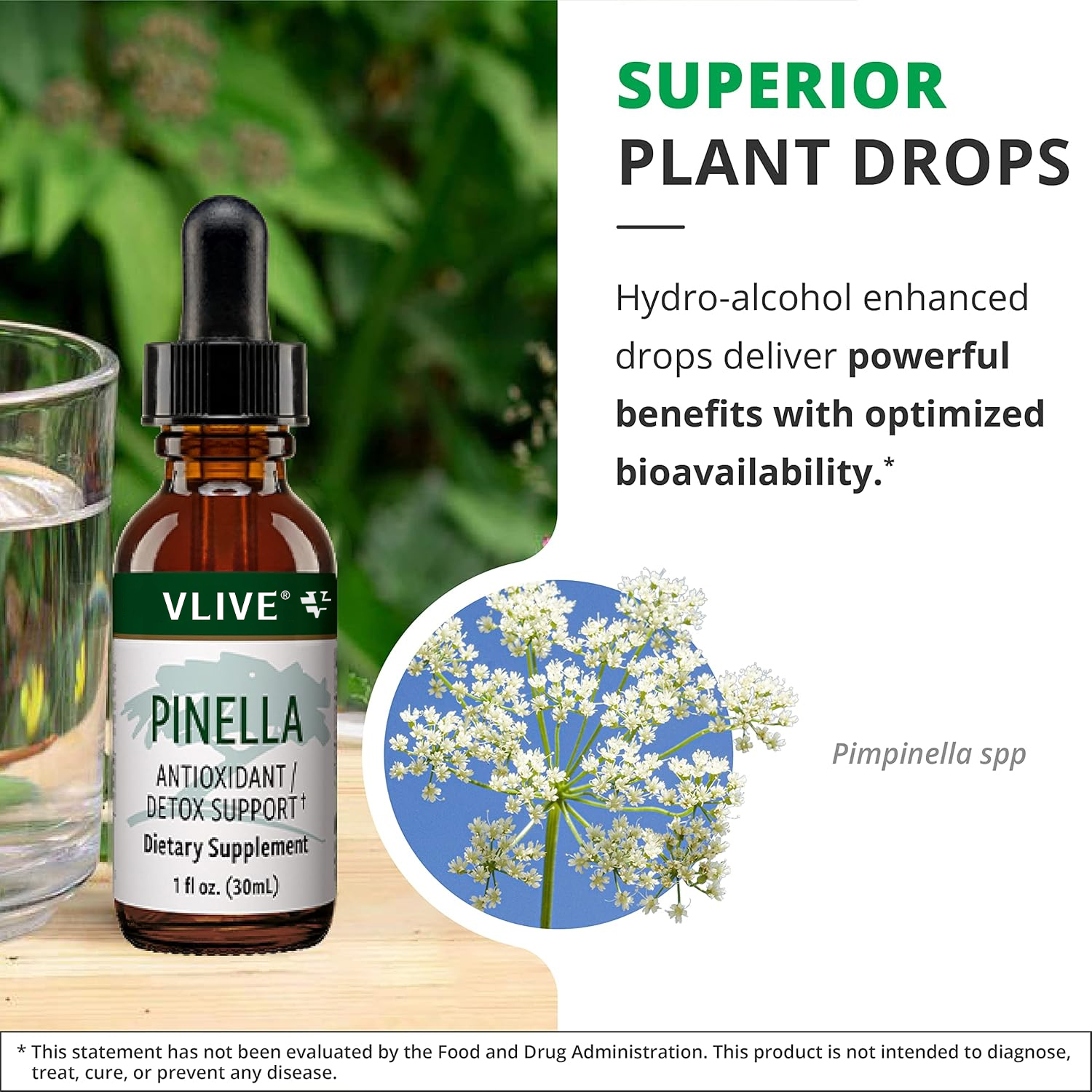 Vlivey®Liquid Anise Drops to Help Support Detox, Cleansing, Concentration & Brain Health - Pimpinella Anisum Extract May Help to Fight 'Brain Fog’ (1oz / 30ml)