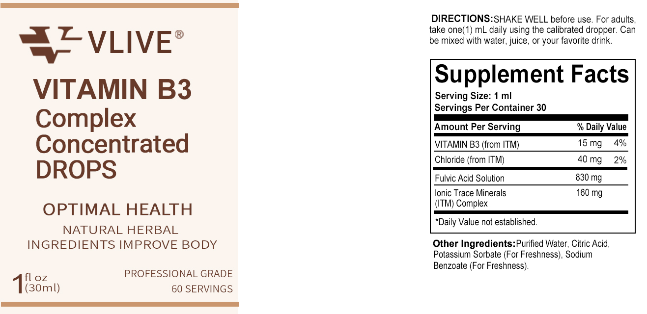 VLive® Vitamin B3 30ml