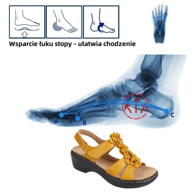 [⏰Ograniczona czasowo zniżka 50%, nie przegap] - Letnie sandały ortopedyczne z podparciem łuku stopy, wygodne i bezbolesne chodzenie - Ergonomiczna konstrukcja