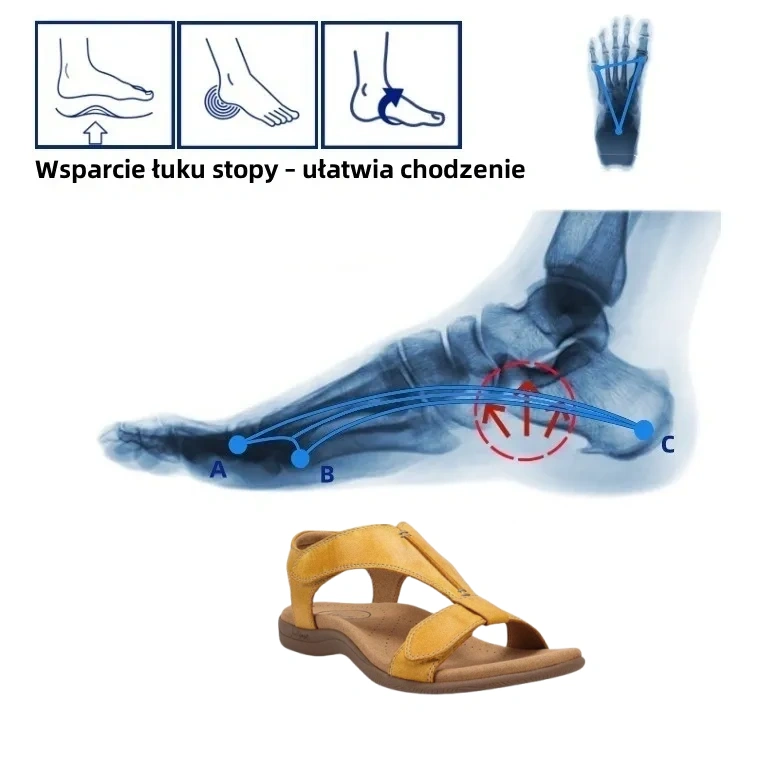 ⏰ Wiosenna promocja z obniżoną ceną o połowę, nie przegap jej - Letnie sandały ortopedyczne, ✅Wygodne i bezbolesne chodzenie, wsparcie łuku stopy, ergonomiczny design