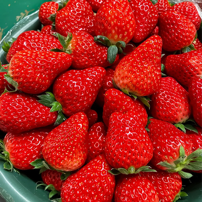 🍓Cream Strawberry Seeds