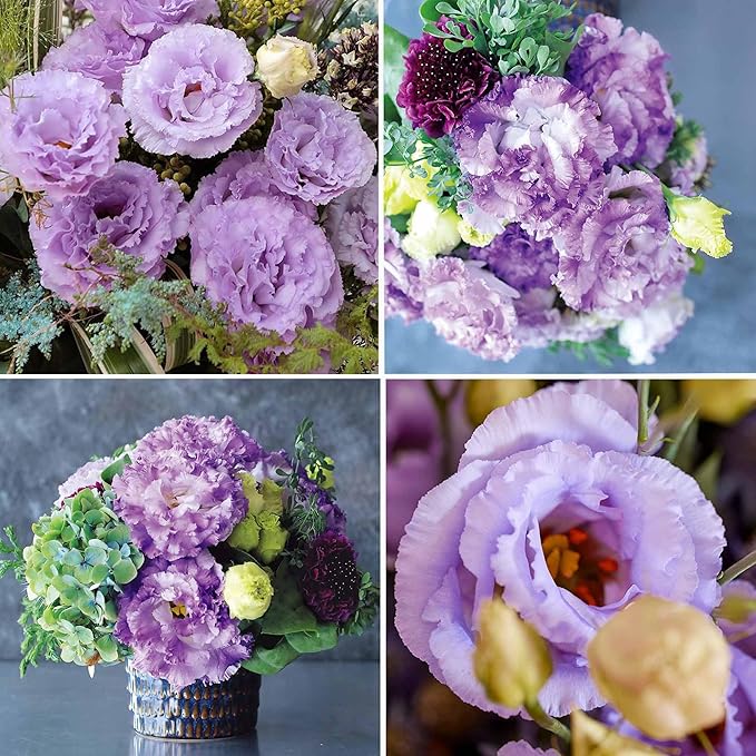 🔥Today -50% Discount🔥 Lisianthus- A Sincere and Immutable Love