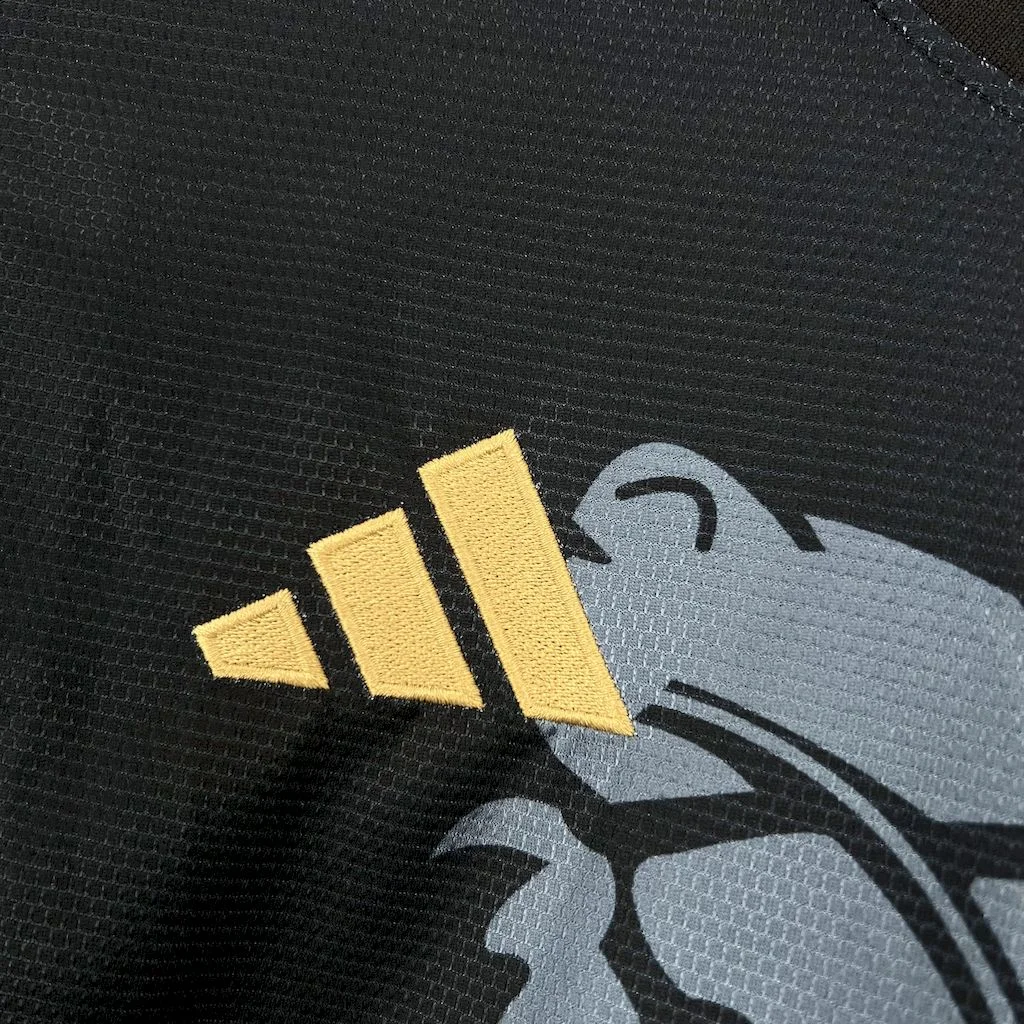 2025/2026 Astothtn Villthta Football Shirt Custom