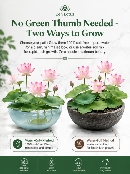 ✨ The World’s First Self-Cleaning, Air-Purifying Lotus — Blooms in 10 Days, Thrives Anywhere! ✨