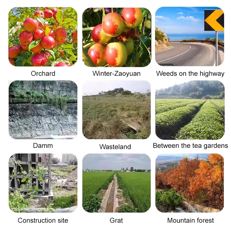 【Weed Specialist】High concentration Glufosinate-P-ammonium