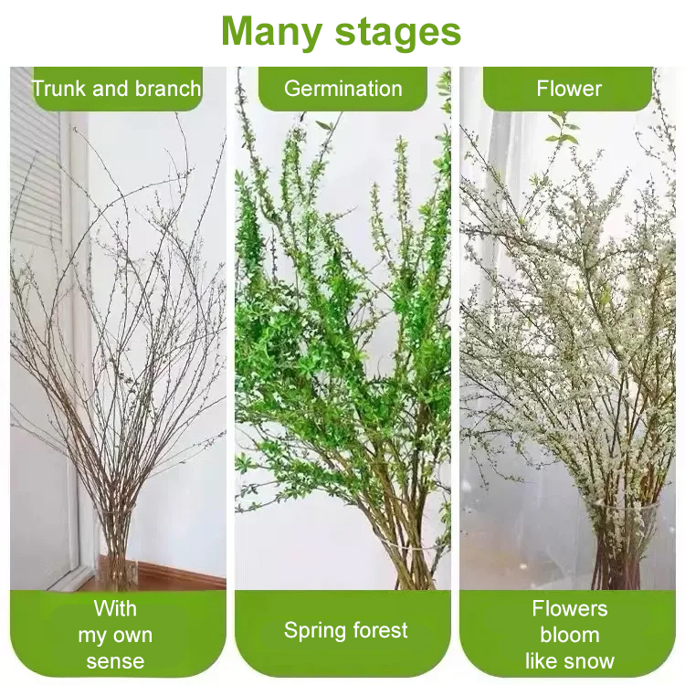 Place an order according to the order quantity