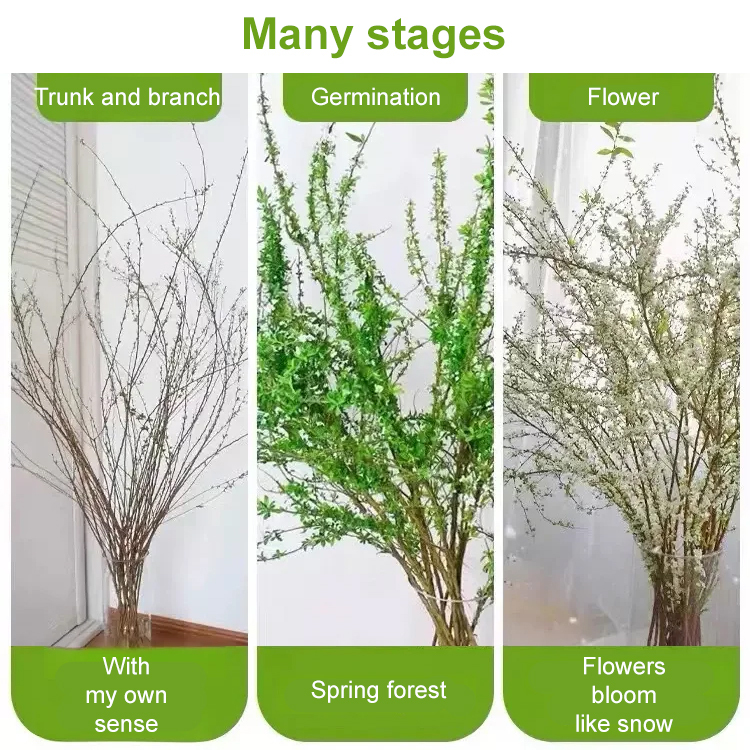 Place an order according to the order quantity