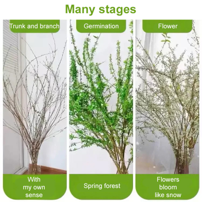 Place an order according to the order quantity