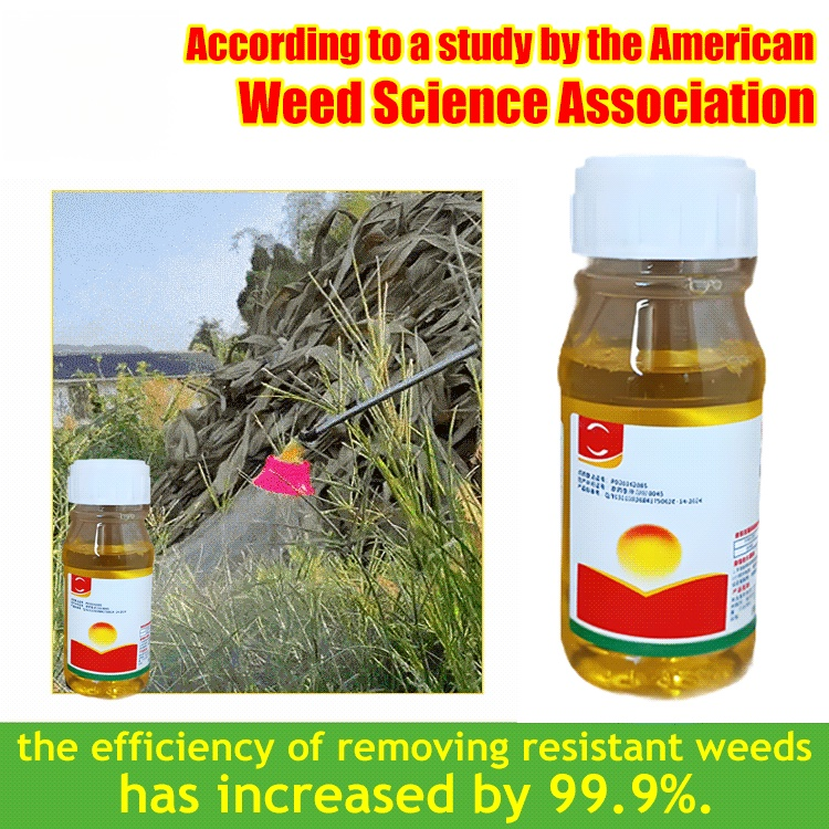 【Weed Specialist】High concentration Glufosinate-P-ammonium