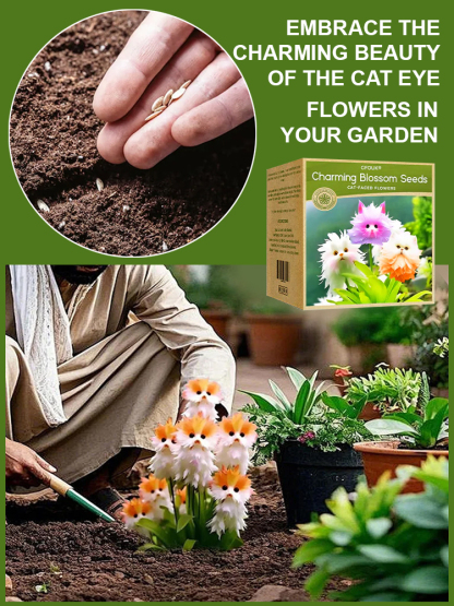 Cat's Eye Orchid Seeds – Easy to Grow, Fast to Bloom, Perfect for Any Space 🌿🏡