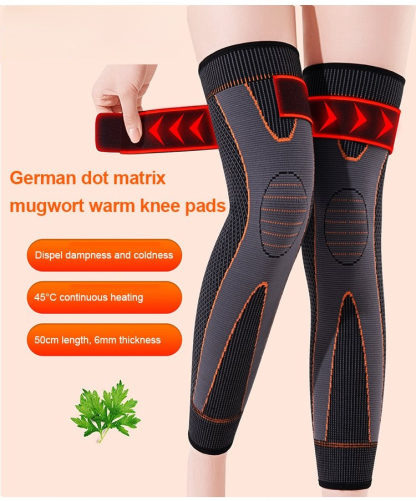 🏷️ Daily Mail Health Pick—Stay-in-Place Warm Knee Pads with Natural Mugwort