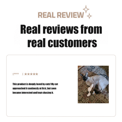 Simulated Electric Shaking Bird Toy