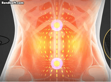 Honeycam 2026-01-29 02-46-02.gif