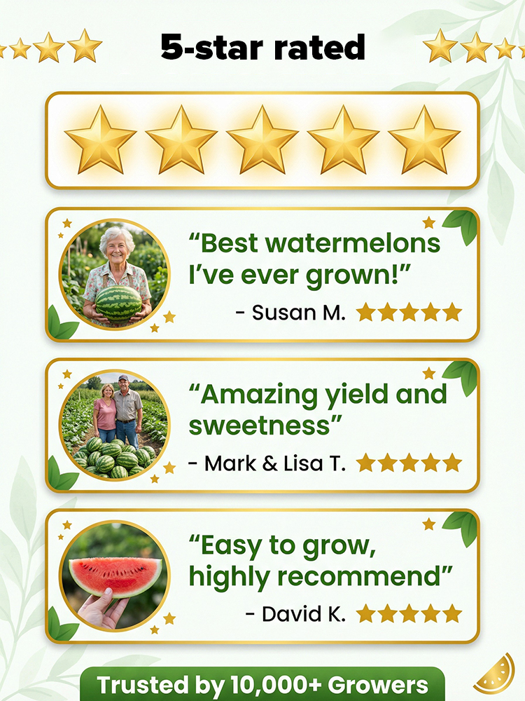 Non-GMO super sweet high-yield watermelon seeds