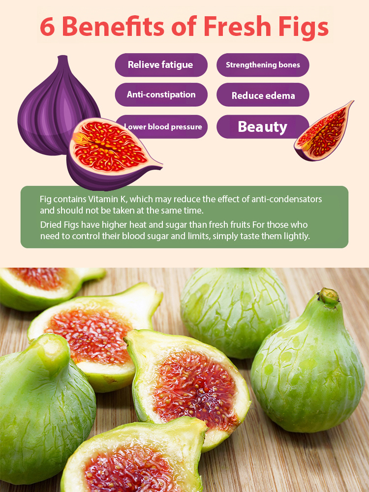 🌿 USDA-Certified Organic Fig Saplings 98% Survival Rate • ✅ | Self-pollinating – no second tree needed 🚫🌳 | Super easy for beginners 🧑🌾👩🌾