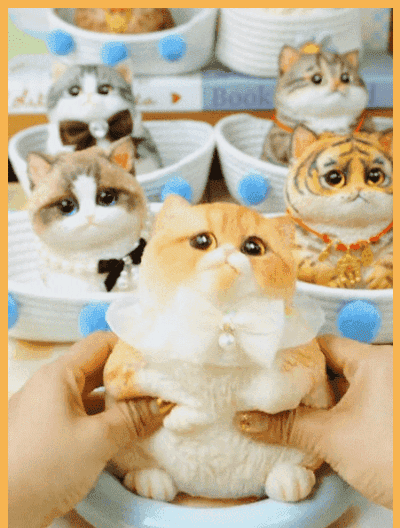 Simulation cat squeezing music