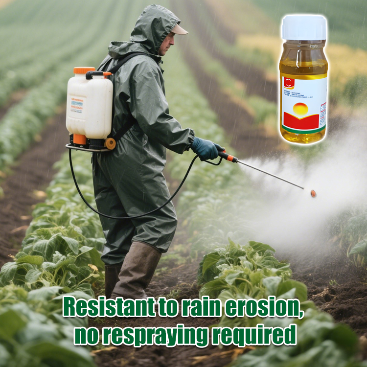 【Weed Specialist】High concentration Glufosinate-P-ammonium