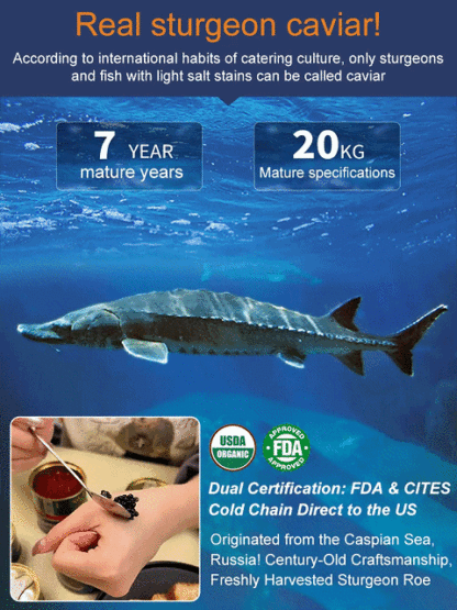 Russian imported sturgeon black caviar